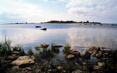 Rauman Vihreät haastoivat porilaiset